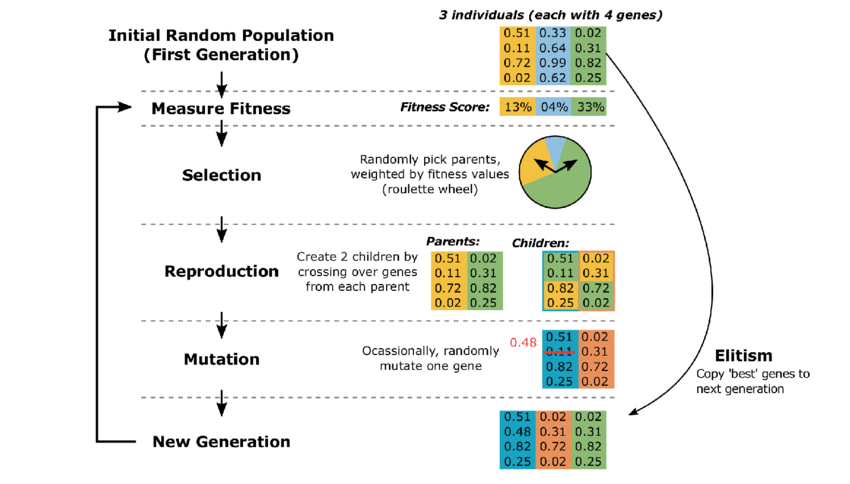 example iteration of the genetic algorithm with a population of three individuals, each consisting of four genes